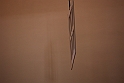 Museo Di Scienze Naturali - Experimenta 12A